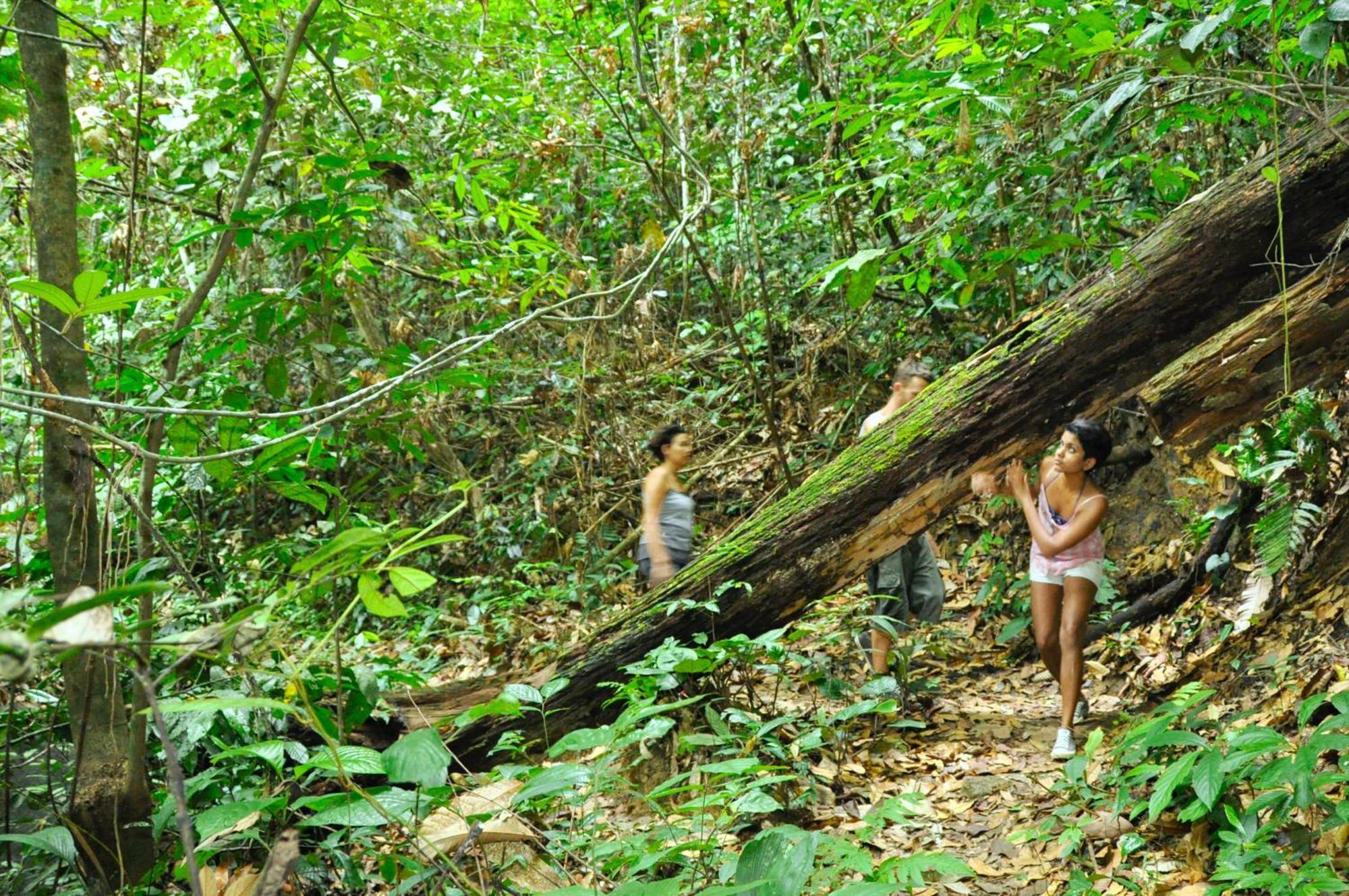 The Dusun Villa Seremban Bagian luar foto