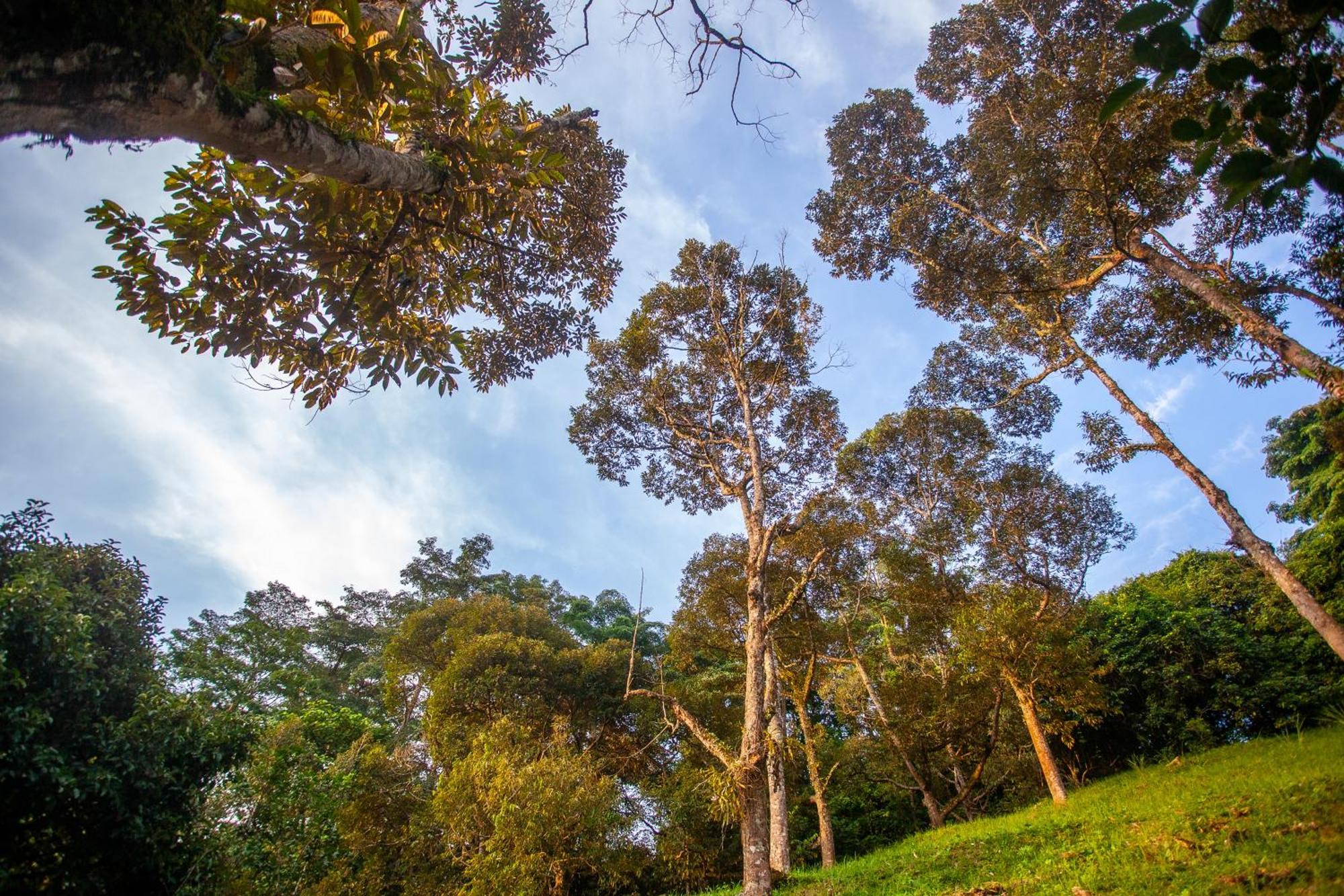 The Dusun Villa Seremban Bagian luar foto